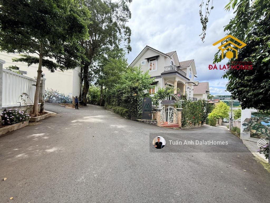 Bán đất 300m² quang trung đà lạt khu bụng rồng hiếm, full thổ cư, mặt tiền rộng 20m