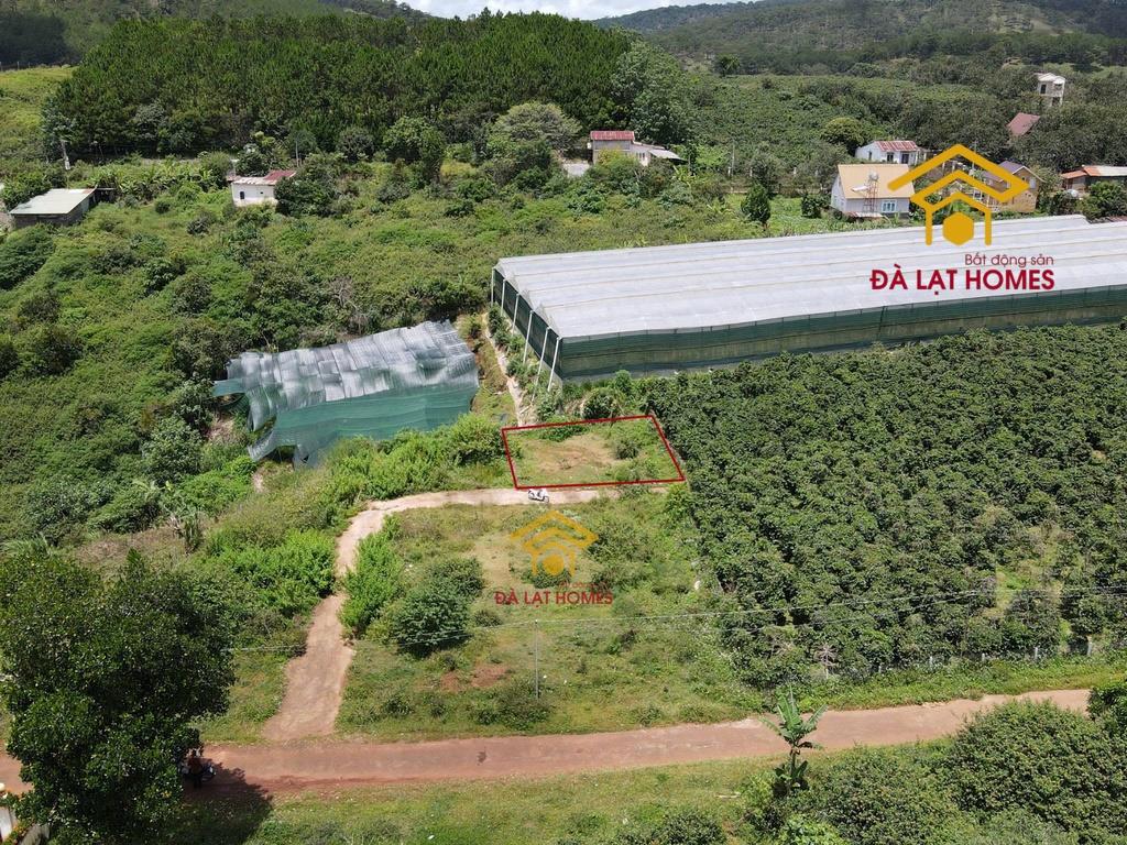Chỉ 3,9 tỷ sở hữu 223m² full thổ cư gần mây lang thang đất đẹp nở hậu, view thoáng