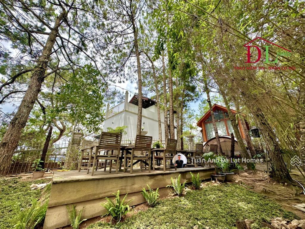 Bán khu biệt phủ đồi thông robin đống đa 2300m² đất ở tư nhân view toàn cảnh thành phố đắc giá