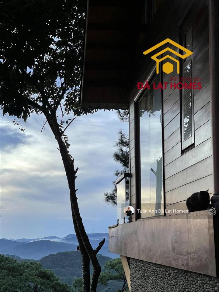 Bán khu biệt phủ đồi thông robin đống đa 2300m² đất ở tư nhân view toàn cảnh thành phố đắc giá