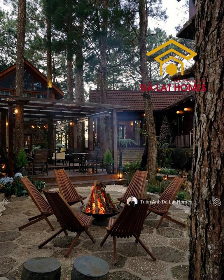 Bán khu biệt phủ đồi thông robin đống đa 2300m² đất ở tư nhân view toàn cảnh thành phố đắc giá