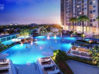 Cam kết giá tốt  cho thuê căn hộ d'capitale trần duy hưng từ 12.3pn, giá rẻ.