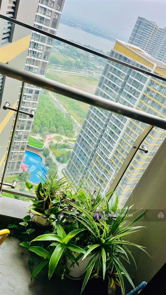 Cho thuê căn hộ 1pn+ tại the beverly solari  giải pháp sống tối ưu cho người hiện đại