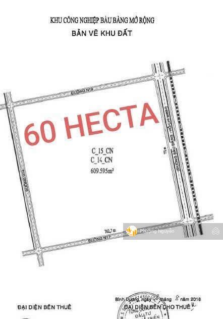 60ha đất kcn bàu bàng mở rộng 4 mặt tiền, vị trí trung tâm, pháp lý sạch giá t6 chỉ 3,12tr/m2