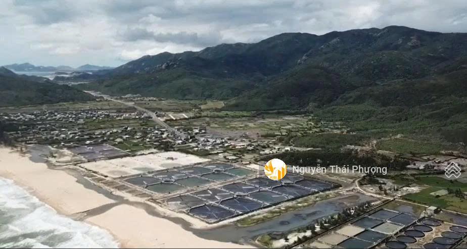 Bán dự án kđt ven biển sở hữu lâu dài 48.72ha, phù cát  bình định, đã có 1/500, chỉ 1000 tỷ t10.26