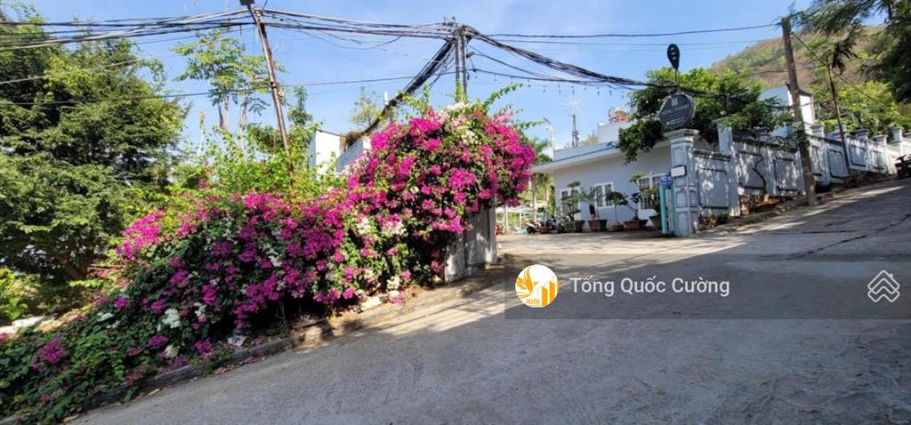 Bán gấp khu nghỉ dưỡng tổng hợp 4 sao 3361m2 hẻm trần phú, p5 tp. vũng tàu chỉ 99.9 tỷ