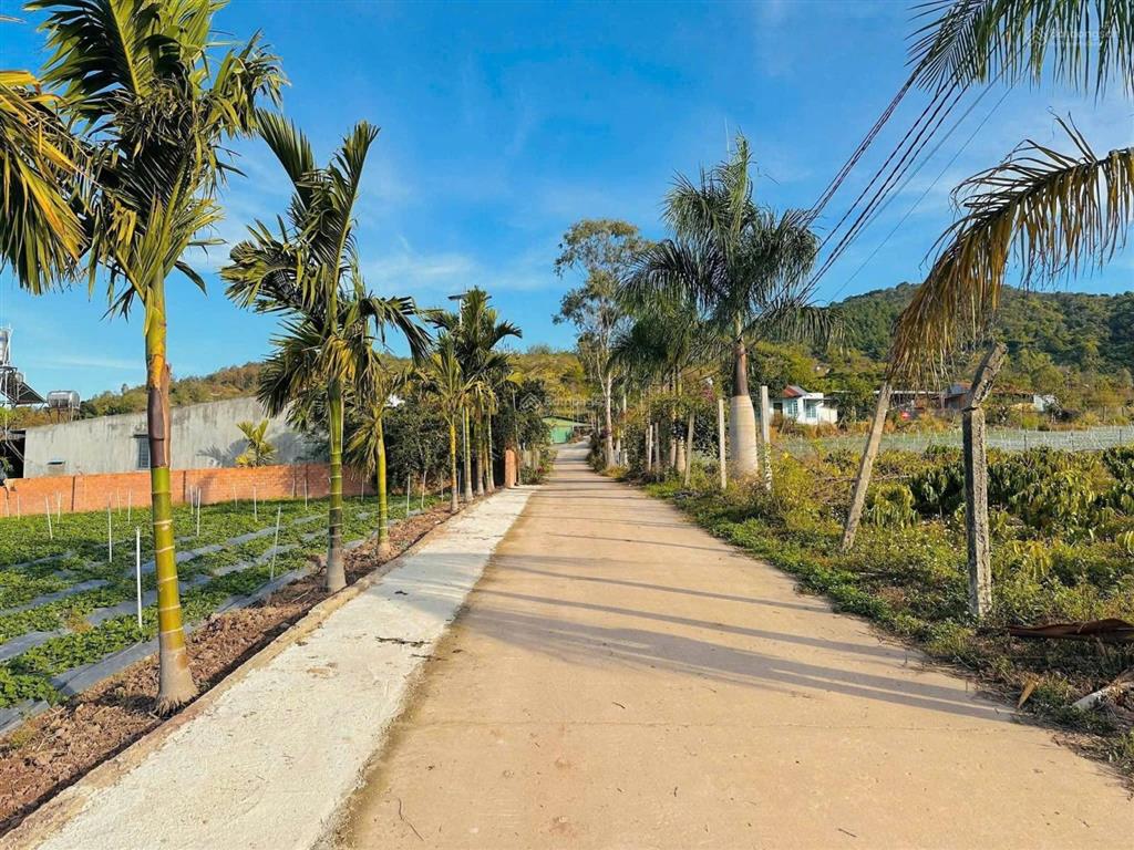 Bán đất thổ cư 138m giá 720 triệu, gần ql27, sân bay liên khương, xã tân hội, lâm đồng