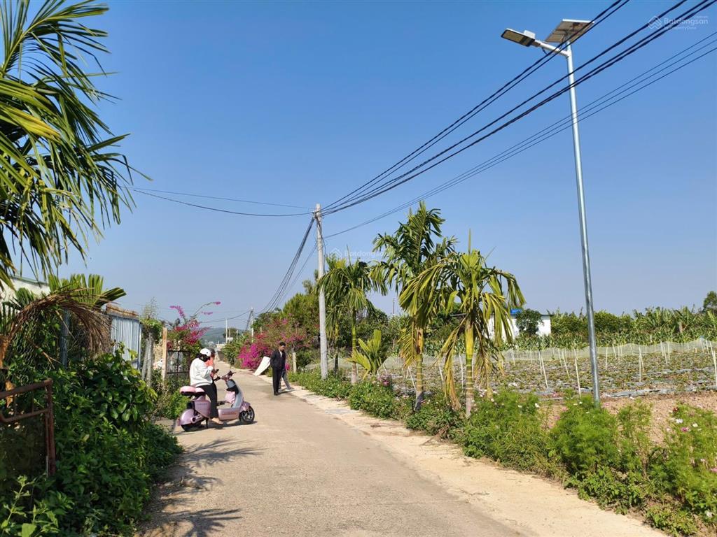 Bán đất thổ cư 138m giá 720 triệu, gần ql27, sân bay liên khương, xã tân hội, lâm đồng