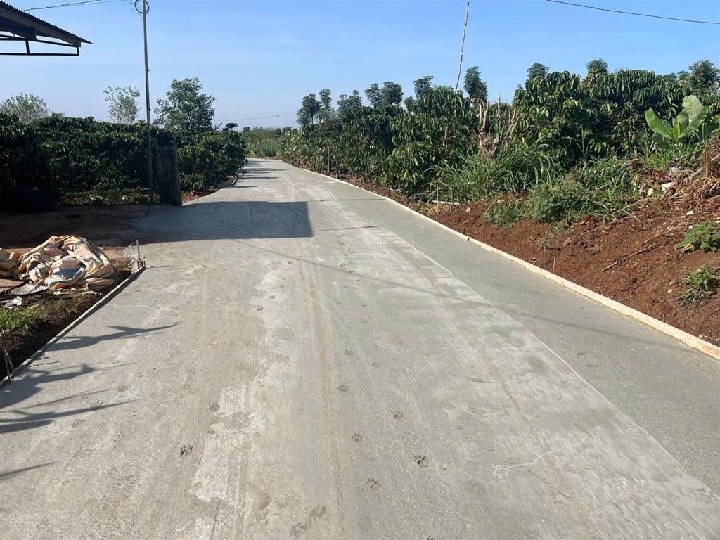 Bán nhà đẹp sau lưng trường học tân hội, lâm đồng chỉ 1,35 tỷ, gần mọi tiện ích. dt 268 m2, shr.
