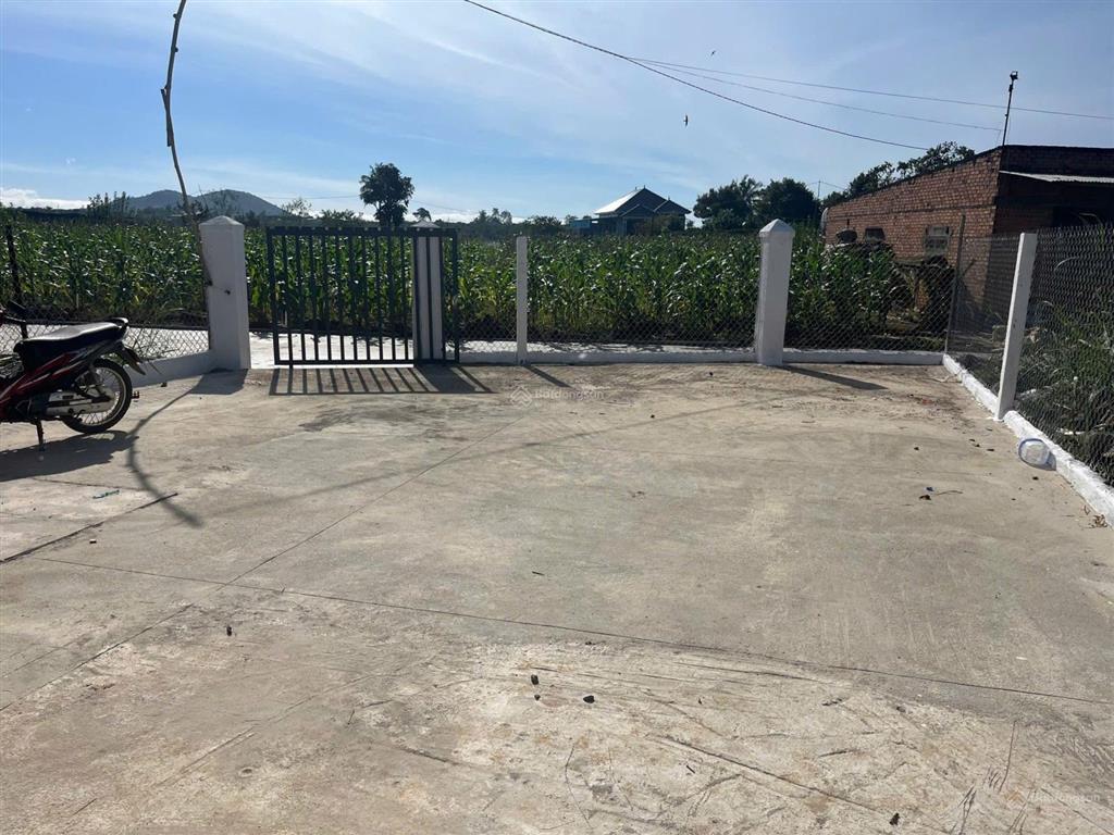 Bán nhà đẹp sau lưng trường học tân hội, lâm đồng chỉ 1,35 tỷ, gần mọi tiện ích. dt 268 m2, shr.