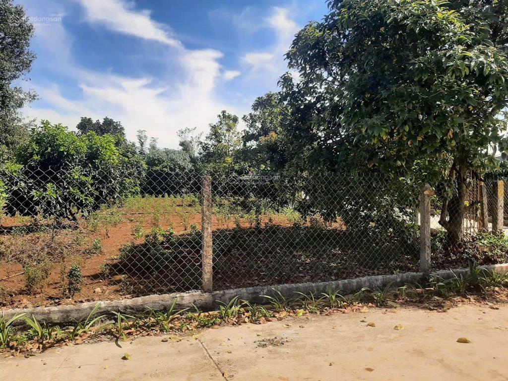 Chỉ 1,68 tỷ sở hữu lô đất đẹp 163 m2, gần chợ, trường học, sân bay tại xã hiệpthạnh, tỉnh lâm đồng