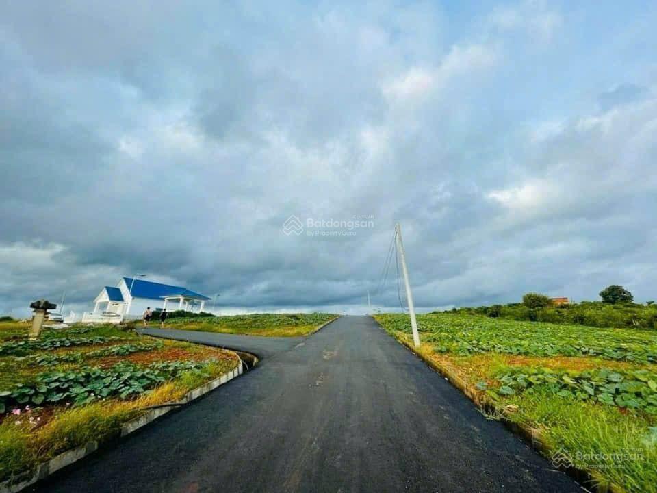Bán đất view hồ phúc thọ 618m có 200m thổ cư mặt tiền nhựa giá chỉ 1,5 tỷ, gần mọi tiện ích