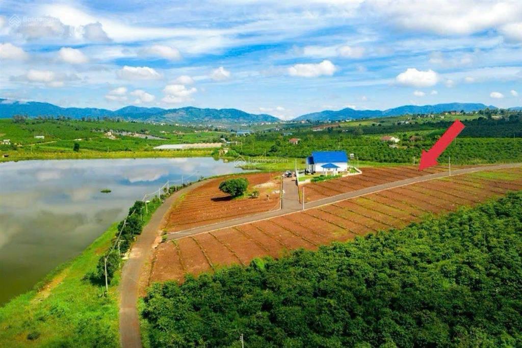 Bán đất view hồ phúc thọ 618m có 200m thổ cư mặt tiền nhựa giá chỉ 1,5 tỷ, gần mọi tiện ích