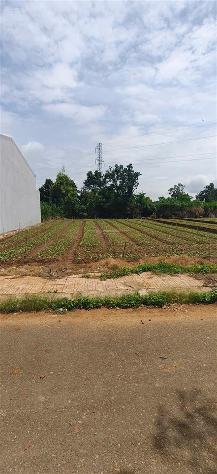Bán đất thổ cư giá rẻ 1,35 tỷ, diện tích 166m2, gần mọi tiện ích trong bán kính 1 km