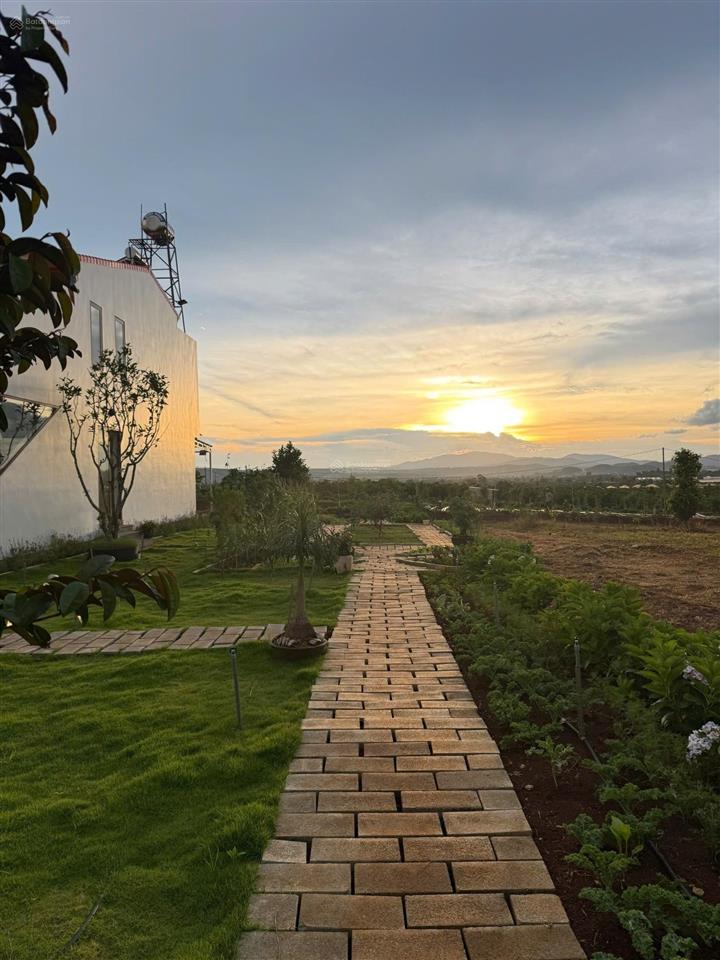 Bán đất thổ cư giá rẻ đầu tư chỉ 950 triệu, tại làng thanh bình, đức trọng, lâm đồng. gần mọi tiện