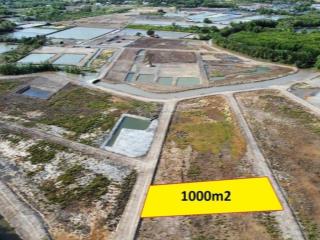 1000m2 xe hơi tới đất gần sát vành đai 3 khu dân cư điện nc đầy đủ giá chỉ hơn 1tr/m2