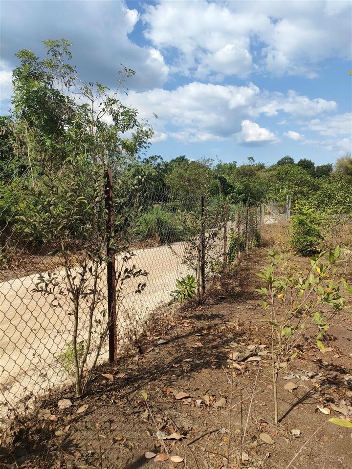 Bán đất rẫy có thổ cư view suối gần trung tâm long khánh