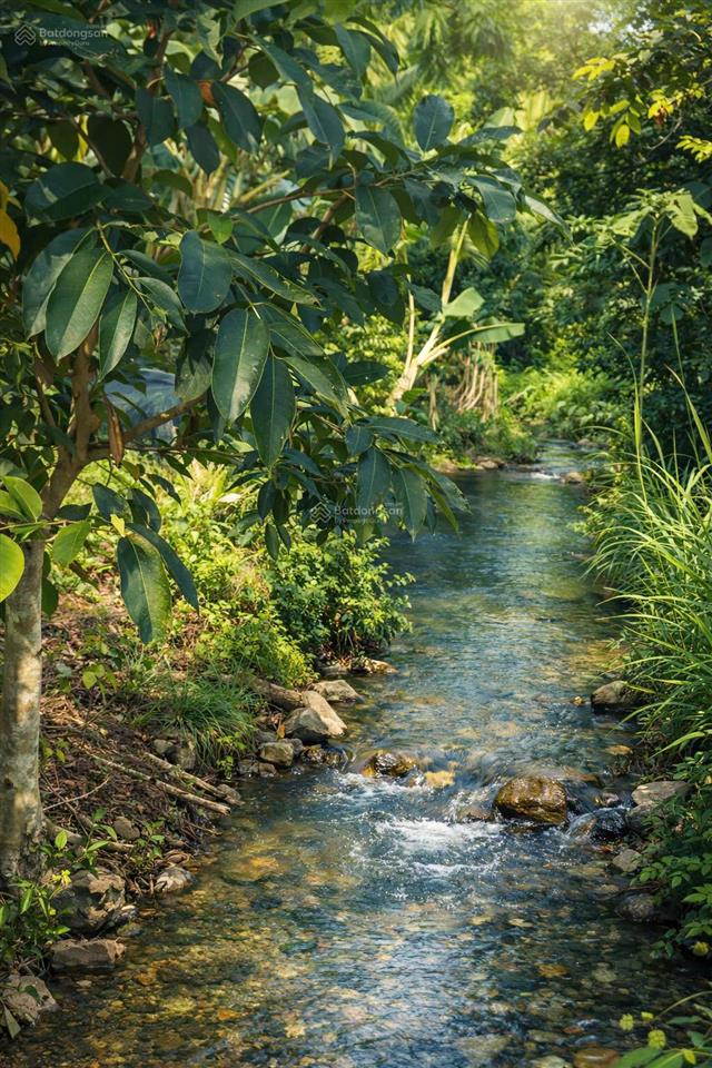 Bán đất rẫy có thổ cư view suối gần trung tâm long khánh