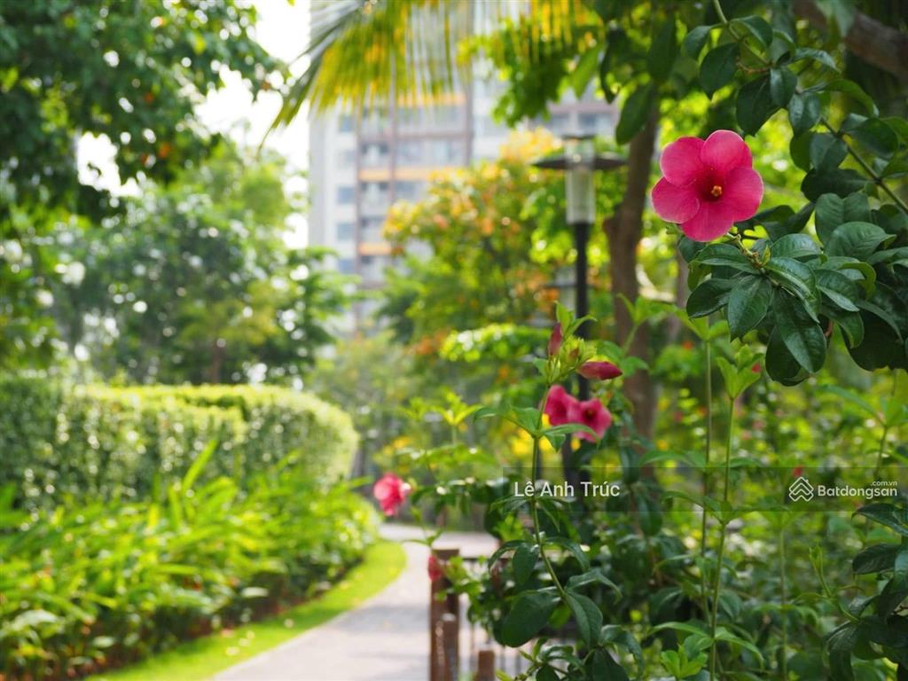 Sở hữu căn hộ cao cấp mizuki park  trellia cove view đẹp. giá tốt. mới 100%.  tại đây