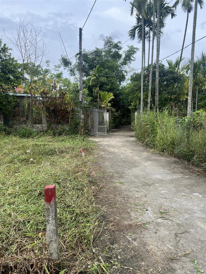 Bán lô đất ở tại tổ dân phố phong nam, hòa xuân