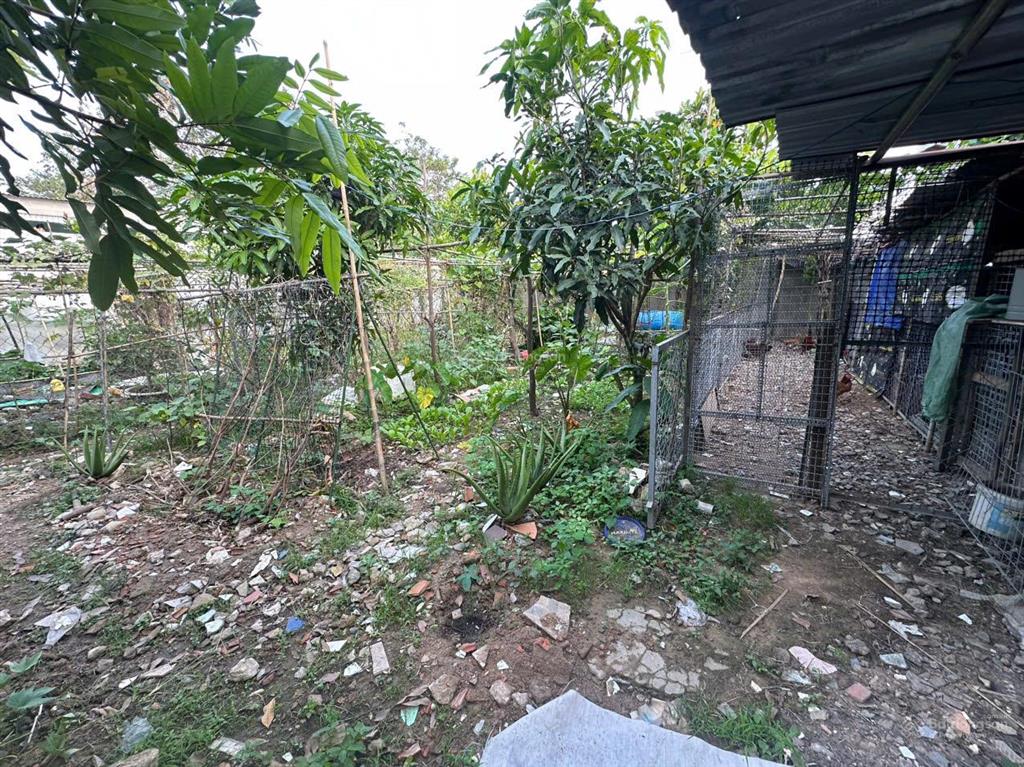 Cắt lỗ bán nhanh 560m2 đất vườn quận 9  có nhà + cây ăn trái, 7.6 tỷ tl