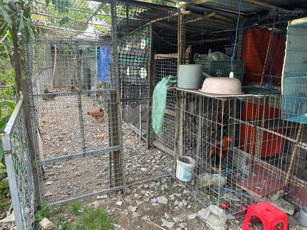 Cắt lỗ bán nhanh 560m2 đất vườn quận 9  có nhà + cây ăn trái, 7.6 tỷ tl