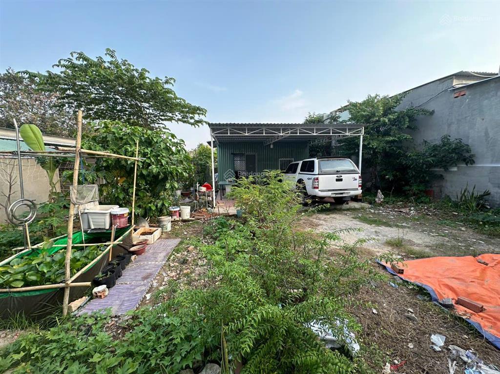 Cắt lỗ bán nhanh 560m2 đất vườn quận 9  có nhà + cây ăn trái, 7.6 tỷ tl