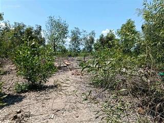 Bán đất nền tại vĩnh trị, 550 triệu, 289,3m2, giá siêu hời, nhiều tiện ích