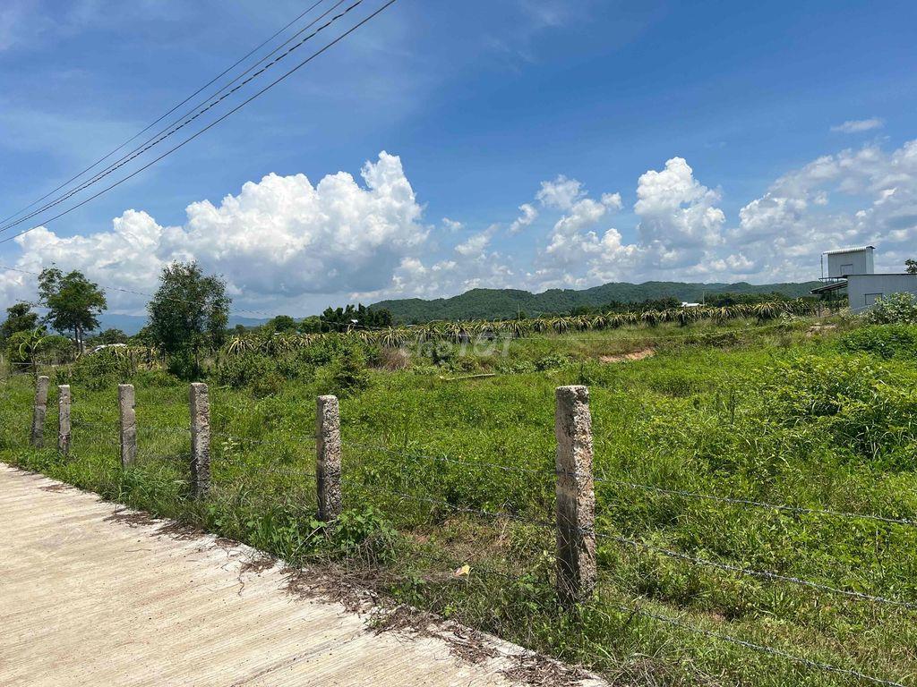 Đất Bình Thuận