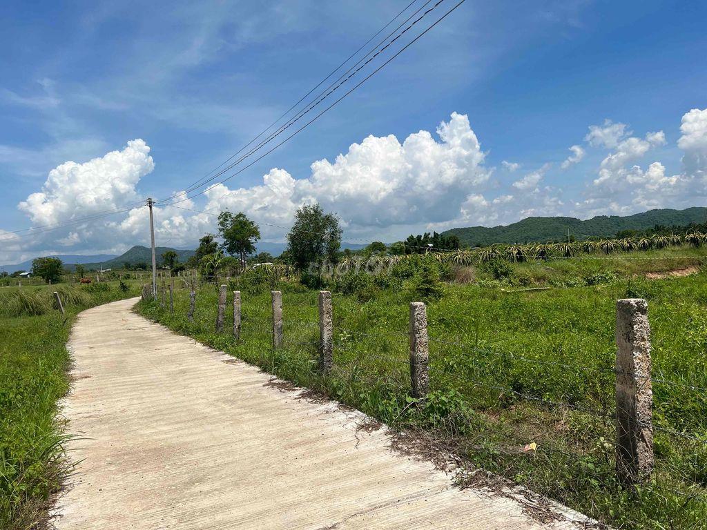 Đất Bình Thuận