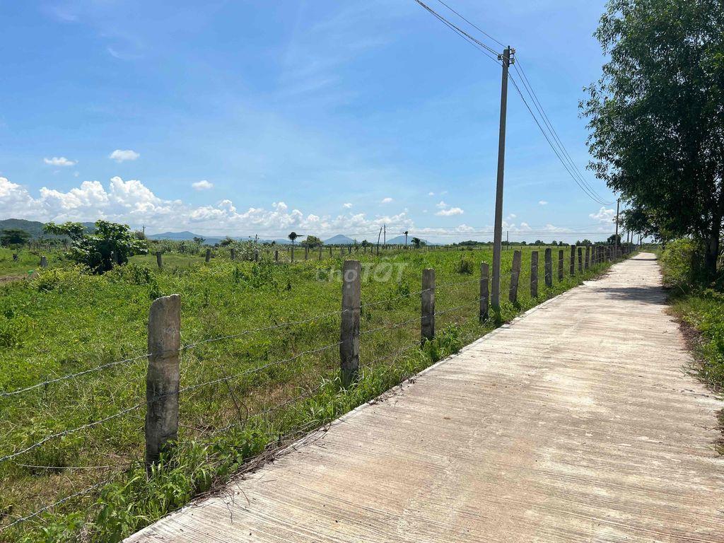 Đất Bình Thuận