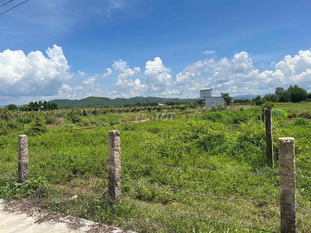 Đất Bình Thuận