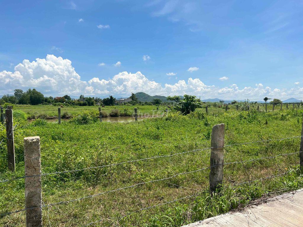 Đất Bình Thuận