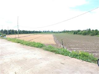 6 công đất lúa xã mỹ an hưng a  đồng tháp, khu chuyên trồng cây ăn trái  hoa màu