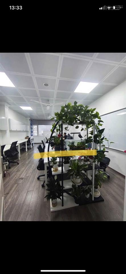 Cho thuê văn phòng số 10 ngõ 81 linh lang, ba đình.diện tích 100m2 có hầm, sảnh tầng 1. giá 24tr/th