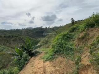 Chính chủ bán đất vườn 1,7 ha lộc nam, bảo lâm, số hồng đầy đủ, giá tốt