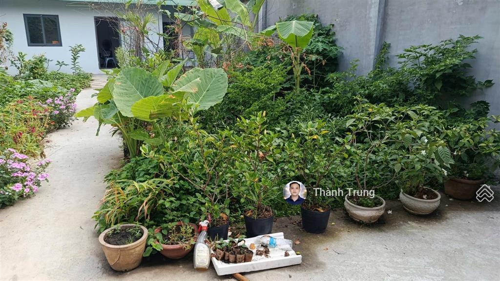Bán nền đất 160m2 khu trường thịnh quận 2. vuông vức đường thông, sổ hồng riêng, giá rẻ