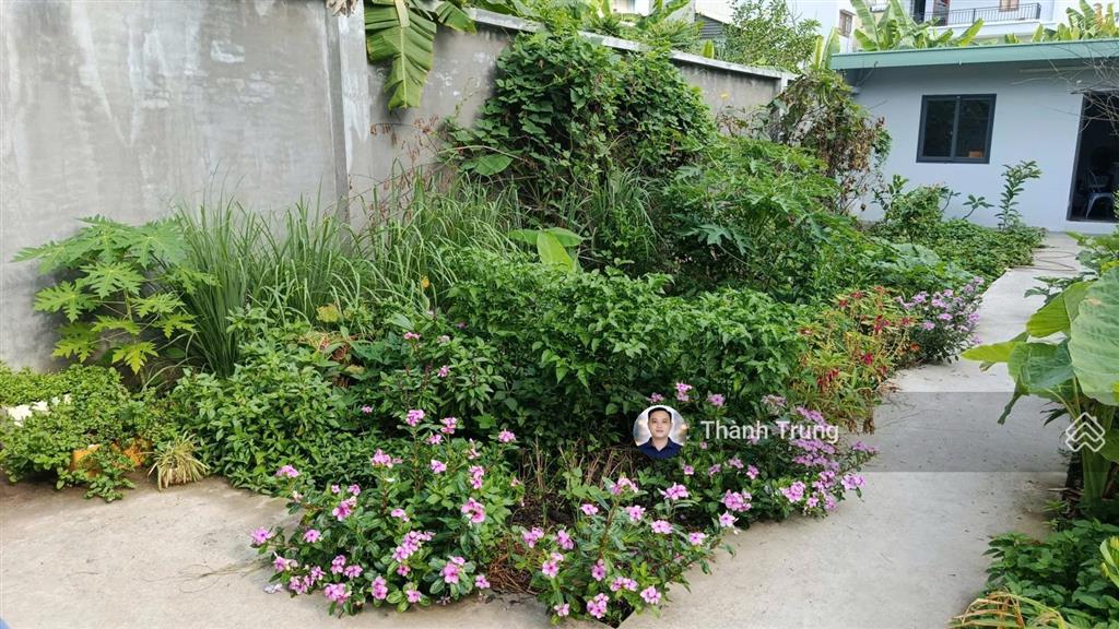 Bán nền đất 160m2 khu trường thịnh quận 2. vuông vức đường thông, sổ hồng riêng, giá rẻ