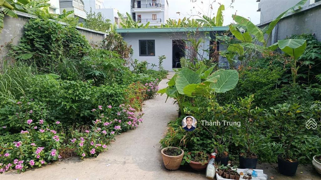 Bán nền đất 160.8m2 khu trường thịnh quận 2. vuông vức đường thông, sổ hồng riêng, giá rẻ