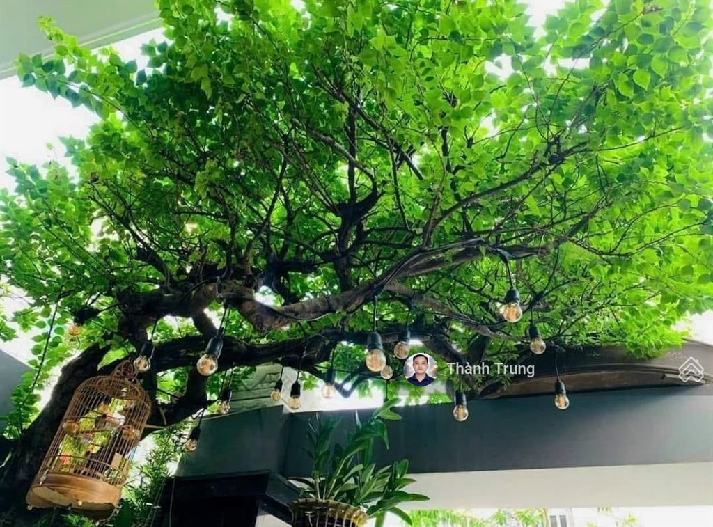Bán căn nhà góc 2 mặt tiền hẻm xe hơi  nhà đẹp như hình  giá chỉ 6,4 tỷ. gần chợ, gần trường học.