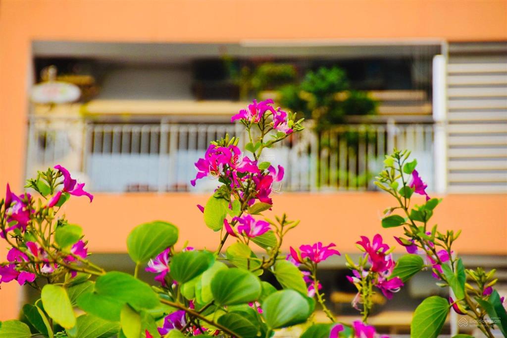 Giá chỉ 6,6 tỷ cho 2pn 73m2 view đẹp the sun avenue mai chí thọ