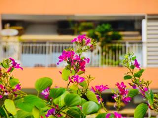Giá chỉ 6,6 tỷ cho 2pn 73m2 view đẹp the sun avenue mai chí thọ
