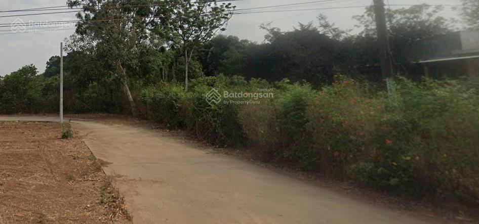 Chính chủ gửi bán nhà vườn phường tân thành, tp.hcm (brvt cũ)