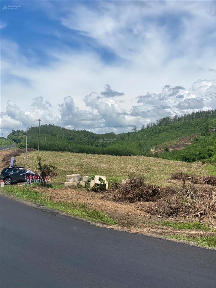 Cc bán 10.000m² đất mặt tiền 165m ql 29 đức bình, đắk lắk. vị trí tiềm năng  giá chỉ 4,95 tỷ