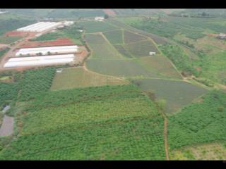 Bán đất tại đường 22, xã lộc quảng, bảo lâm, lâm đồng, giá chỉ 3,4 tỷ, 6200 m2