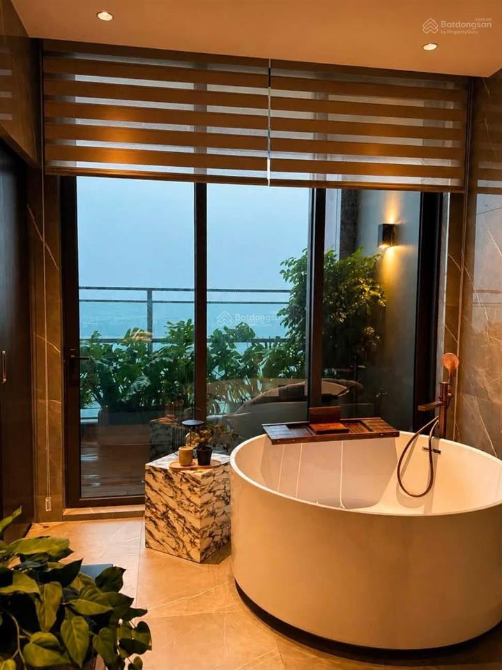 Bán nhanh trong tuần căn hộ chính chủ penthouse sky garden diện tích 272m2 giá 9tỷ5 miễn trung gian