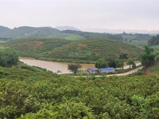 Chính chủ bán 3,5ha qh đất cln, bám đường liên xã 300m, view hồ, cạnh khu dân cư ở lương sơn, hb