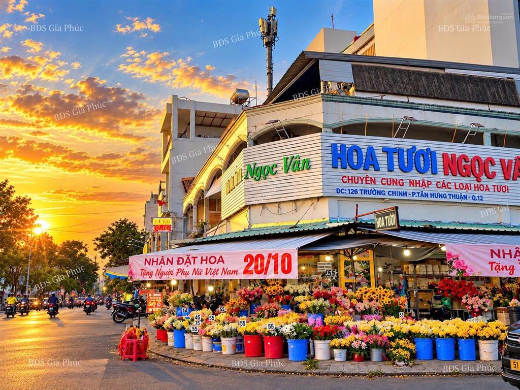 Siêu góc 2 mt 8.4x17m chợ tân quy q7 thu nhập 70 tr/th giá 59 tỷ