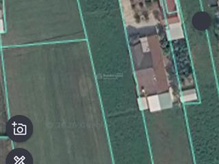 Bán 2600m2 đất tại xã an ninh, 20m mặt tiền nhựa, gần dự án 197ha của vingroup