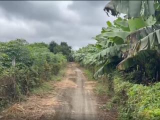 Bán gấp 9.000m² đất vườn ven suối sông ray, cẩm mỹ 300m² thổ cư, giá 4,3 tỷ